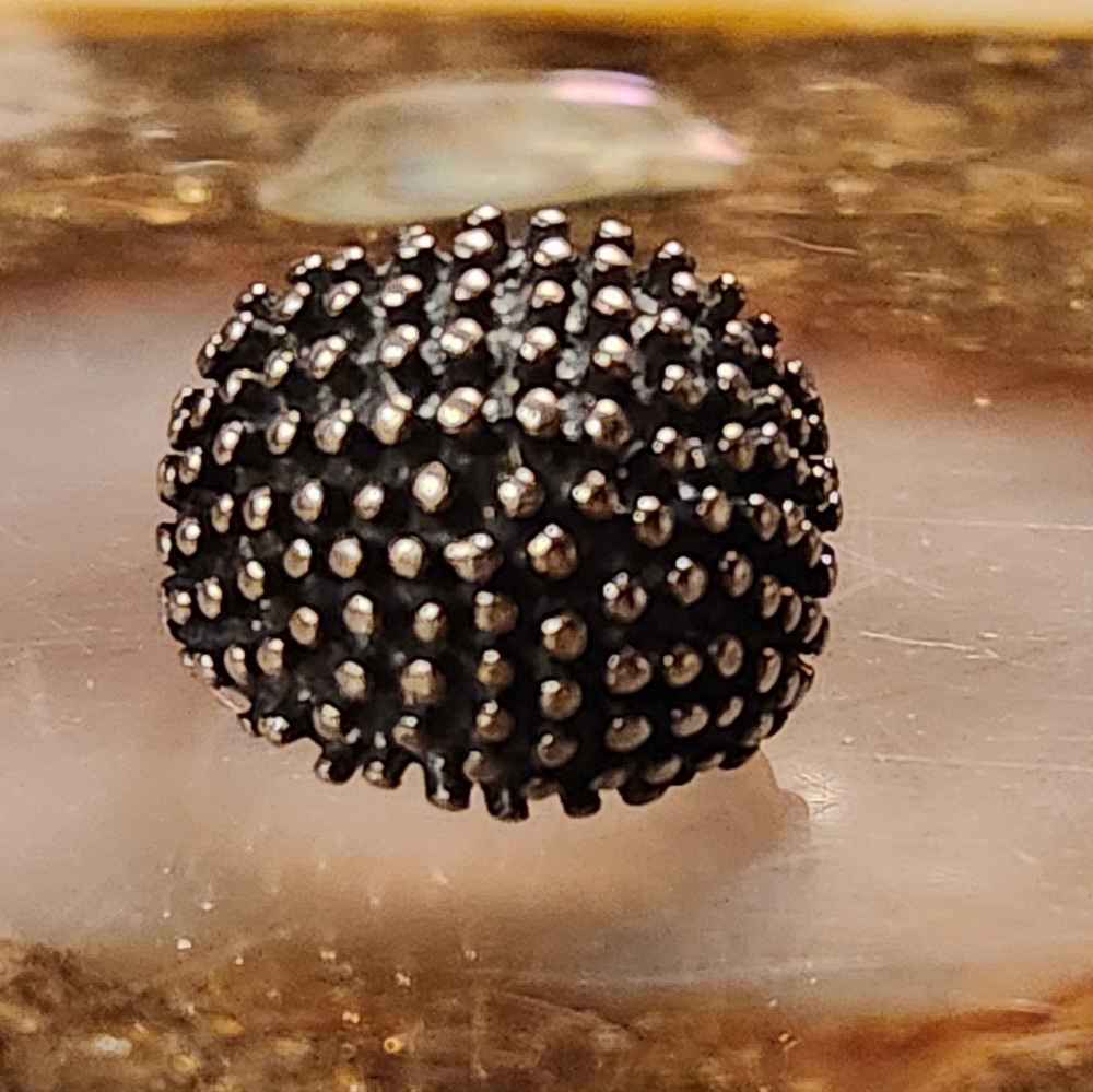 Sterling Silver Armadillo Bubble Ring. - image 2